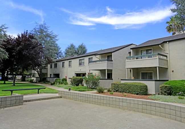 Trinity Way Apartments in Fremont, CA - Building Photo - Building Photo