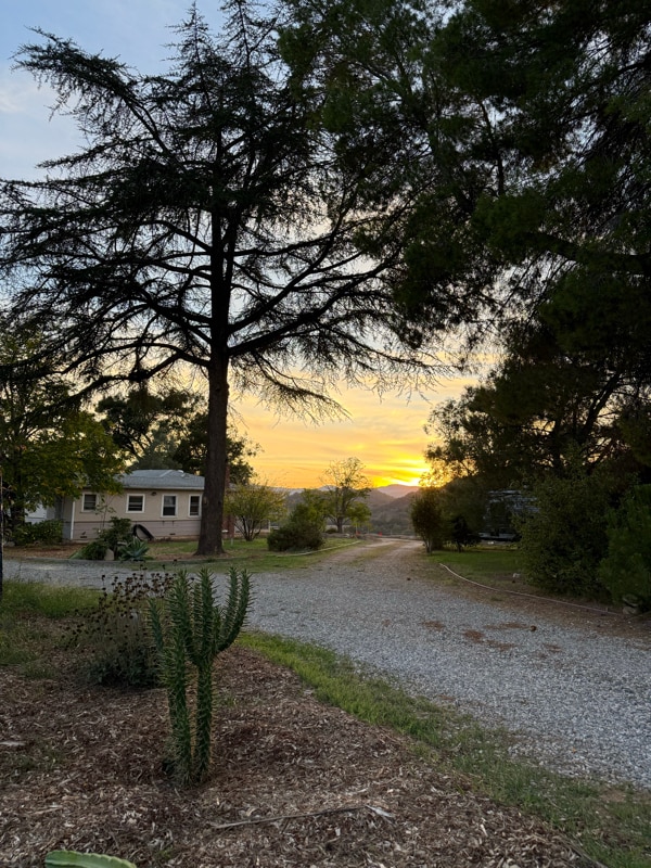 property at 1210 Woodland Ave