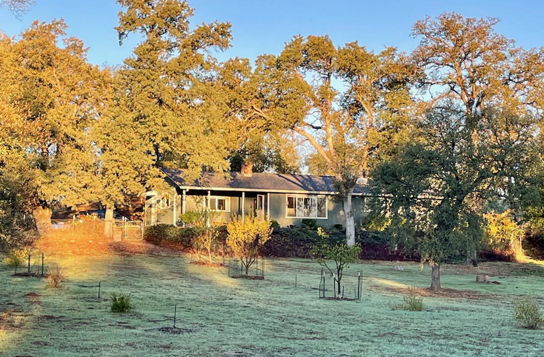9733 Hidden Ln in Palo Cedro, CA - Building Photo