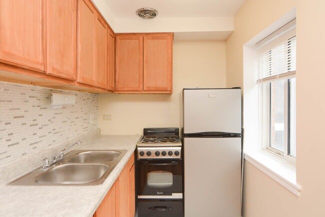 3825 N Pine Grove Ave in Chicago, IL - Building Photo - Building Photo