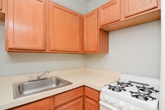 1169 N Dearborn in Chicago, IL - Foto de edificio - Building Photo