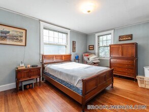 30 Stetson St in Brookline, MA - Building Photo - Building Photo