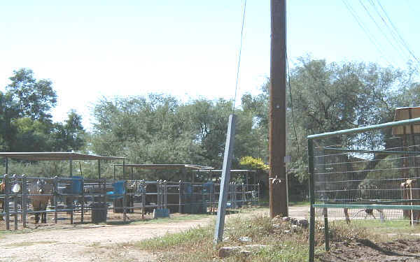 1502 E Prospect Ln in Tucson, AZ - Building Photo