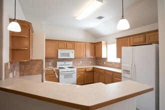 16910 Tortoise St in Round Rock, TX - Building Photo - Building Photo