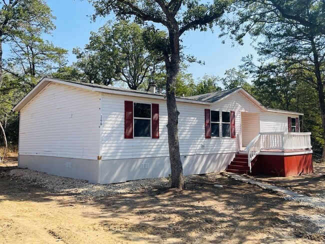 133 Mei Lisa Ln in Cedar Creek, TX - Building Photo - Building Photo