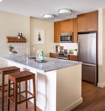 102 Arlington St, Unit 8K in Boston, MA - Building Photo - Building Photo