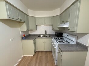 1039 College Ave in Wheaton, IL - Building Photo - Building Photo