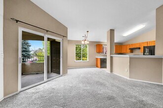 3847 Riviera Grove in Colorado Springs, CO - Building Photo - Building Photo