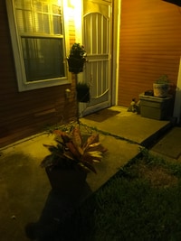 10010 Cathedral Dr photo'