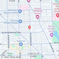 2632 N Halsted St in Chicago, IL - Building Photo