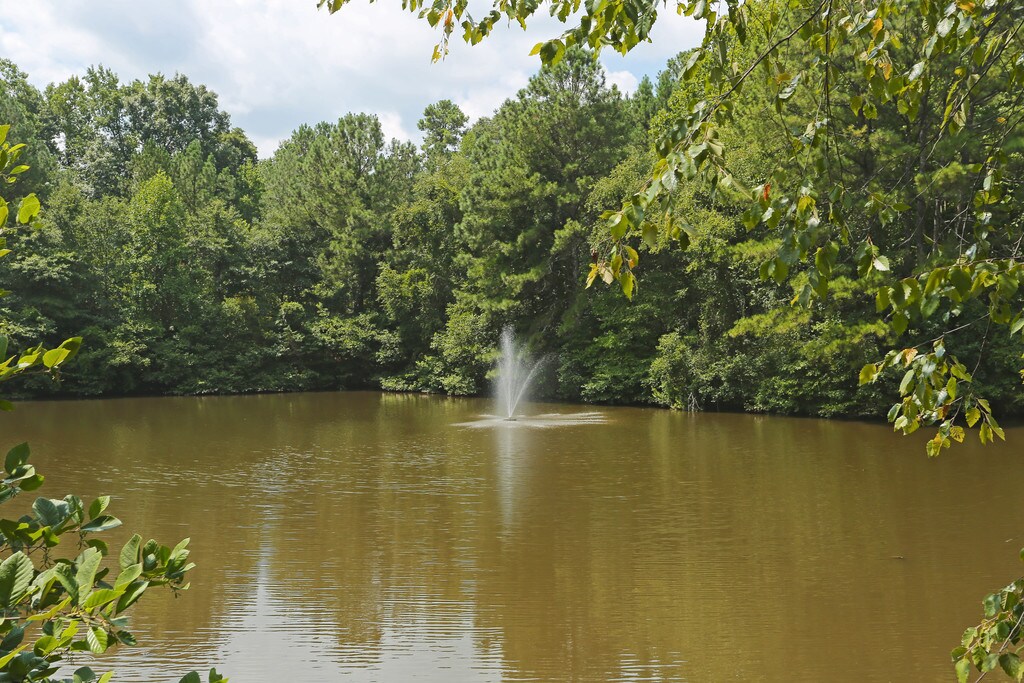 Capella Apartments in Tucker, GA