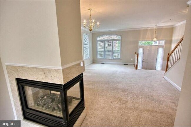 903 Crestfield Dr in Rockville, MD - Building Photo - Building Photo