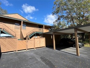 2406 Cypress Pond Rd in Palm Harbor, FL - Building Photo - Building Photo