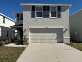 12072 Downy Birch Dr in Riverview, FL - Building Photo
