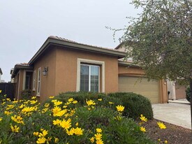 8441 Ponta Delgada Dr in Elk Grove, CA - Building Photo