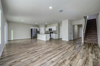 34200 Scarlet Sage Ct in Wesley Chapel, FL - Building Photo - Building Photo