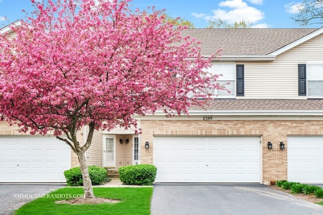 property at 2389 Stoughton Cir