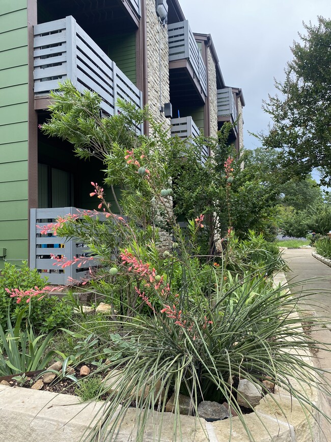 Willowwood Apartments in Austin, TX - Foto de edificio - Building Photo