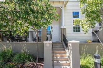 251 Birch Creek Dr in Pleasanton, CA - Building Photo - Building Photo