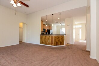 13210 Haverhill Dr in Spring Hill, FL - Building Photo - Building Photo