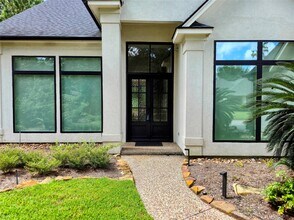 19 Acorn Cluster Ct in Spring, TX - Building Photo - Building Photo