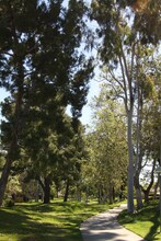 5146 Maple in Irvine, CA - Building Photo - Building Photo