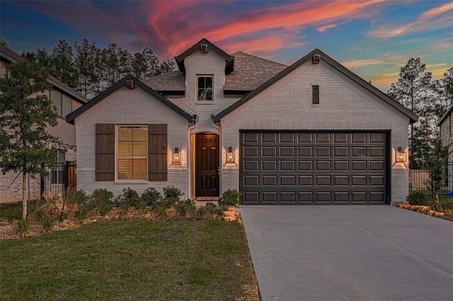 7933 Wild Thicket Dr in Magnolia, TX - Building Photo - Building Photo