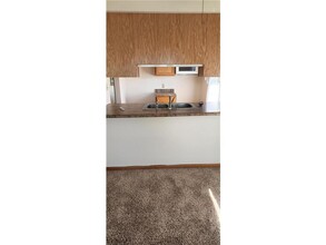 11 1st Ave NE-Unit -308 in New London, MN - Building Photo - Building Photo