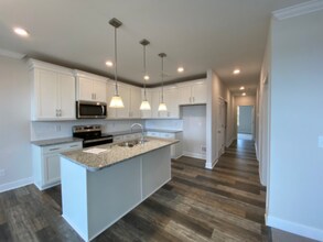 1011 Vida Wy in Nolensville, TN - Building Photo - Building Photo