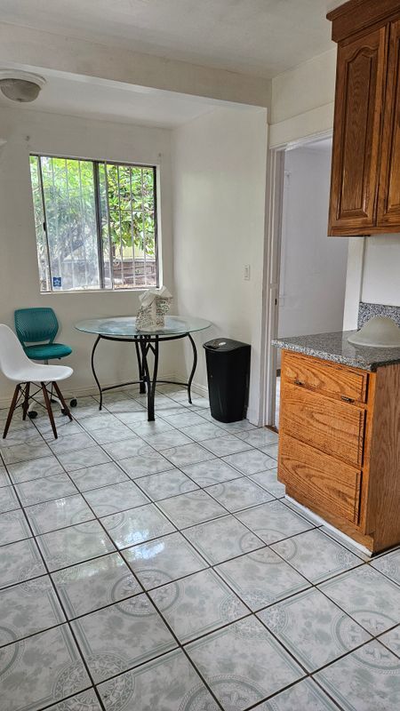 244 W 47th Pl in Los Angeles, CA - Building Photo - Building Photo