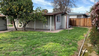 15538 Usher St in San Lorenzo, CA - Building Photo