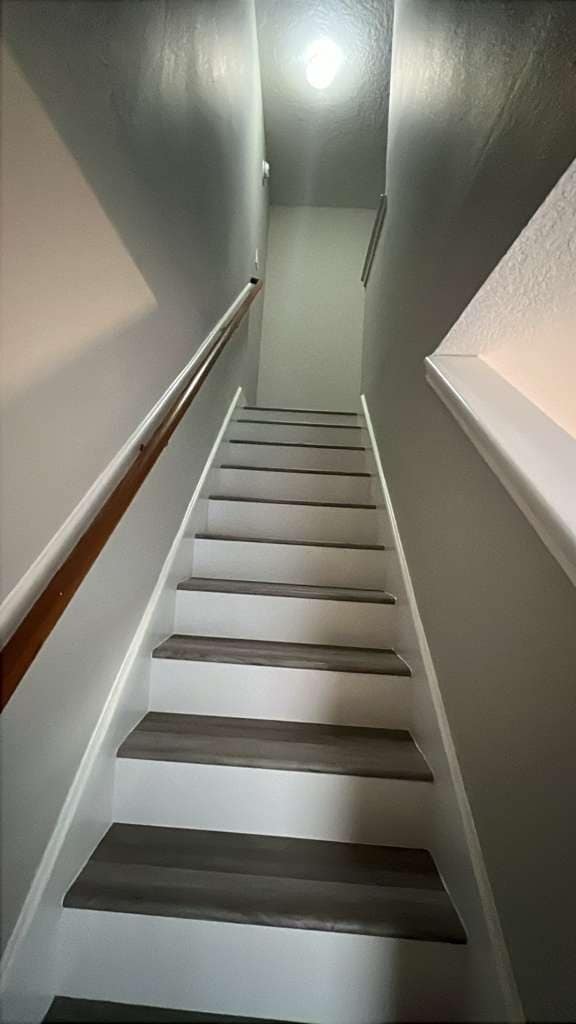 8617 Mapletwist St in Houston, TX - Building Photo - Building Photo