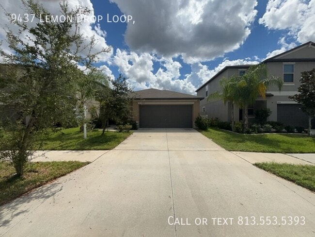 property at 9437 Lemon Drop Lp