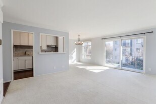 847 N Humboldt St in San Mateo, CA - Building Photo