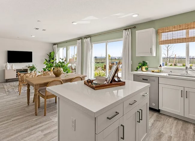 1056 Silver Feather Wy in Roseville, CA - Building Photo - Building Photo