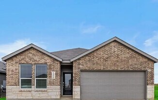 1906 Wood Warbler in New Braunfels, TX - Building Photo