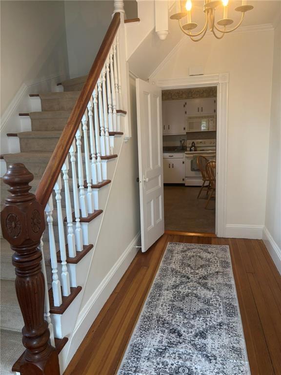 11 Eastnor Rd in Newport, RI - Building Photo - Building Photo