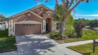 17353 Lawn Orchid Loop in Land O Lakes, FL - Building Photo