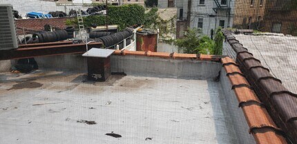 1233 Flatbush                  Ave in Brooklyn, NY - Building Photo - Building Photo