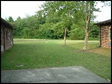 111 Shadow Lodge Dr in Rockwood, TN - Building Photo - Other