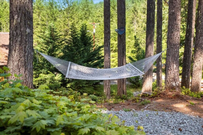 property at 321 Paradise Dr