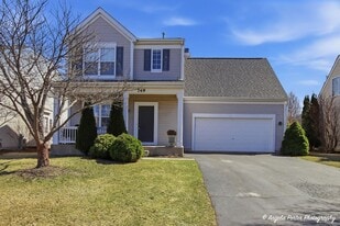 749 S Parkside Dr in Round Lake, IL - Building Photo