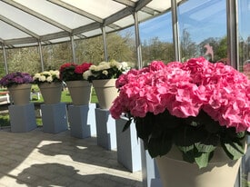 215 Bibro C, Unit C in Murfreesboro, TN - Building Photo