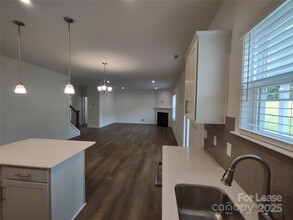 19234 Yellow Birch Dr in Charlotte, NC - Building Photo - Building Photo