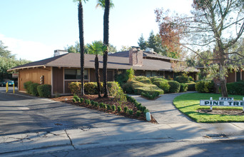 Pine Tree in Sacramento, CA - Building Photo - Building Photo