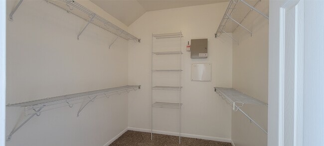8801 Sun Haven Ln in Pearland, TX - Foto de edificio - Building Photo