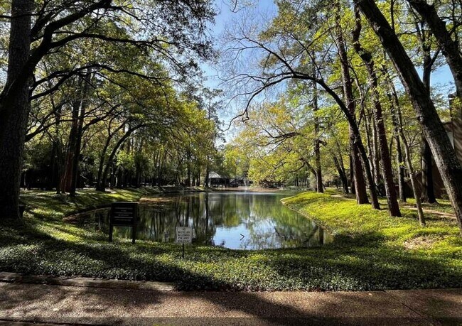 107 Litchfield Ln in Houston, TX - Building Photo - Building Photo