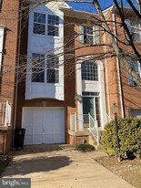 11506 Wild Hawthorn Ct in Reston, VA - Building Photo