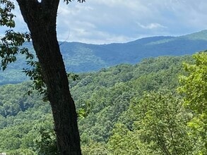 1671 Hogback Mountain Rd in Tryon, NC - Building Photo - Building Photo