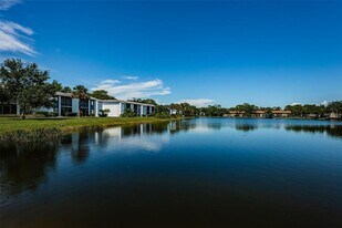 331 Woodlake Wynde in Oldsmar, FL - Building Photo